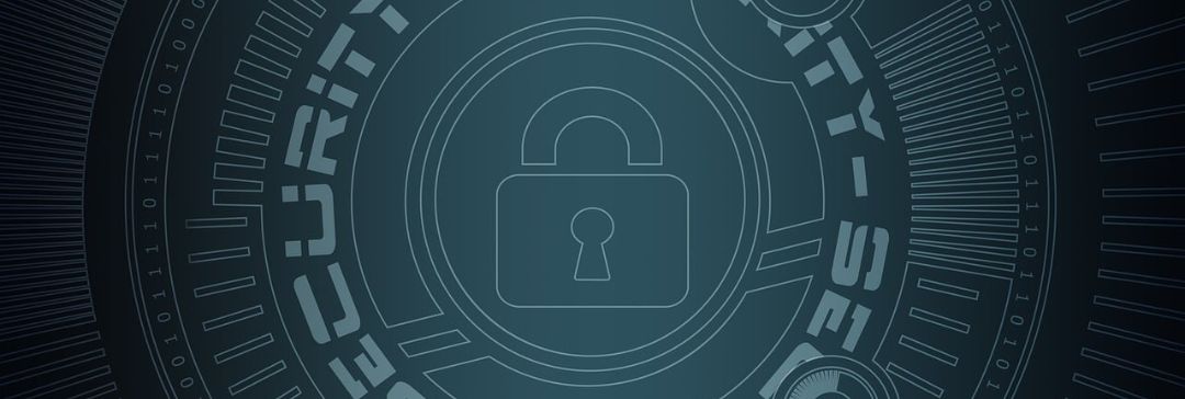 Ciberseguridad: ¿Cómo elegir el mejor firewall para tu empresa?
